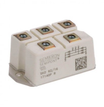 SKİİP13AC126V1